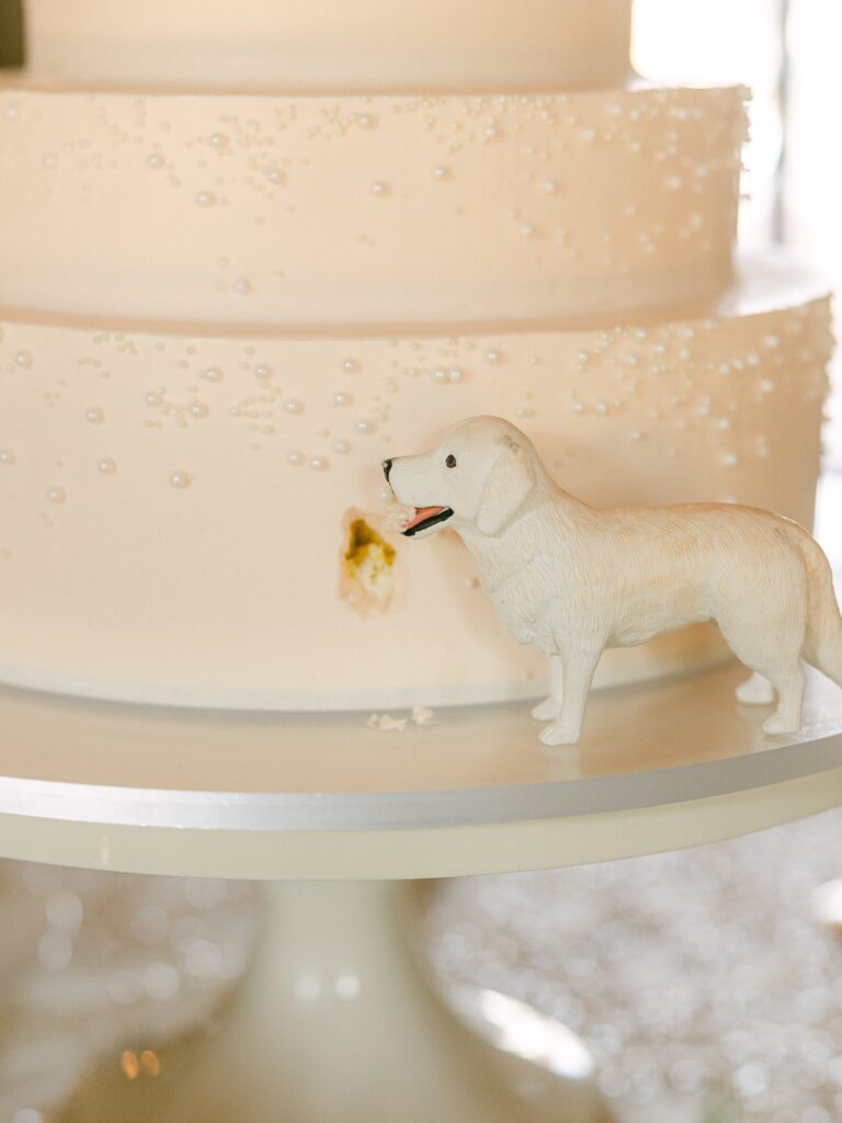 Dog on wedding cake