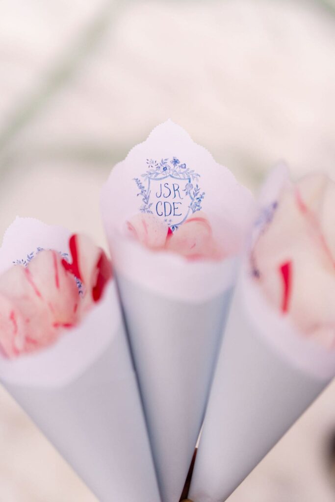 Flower petal cones